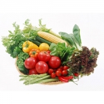 สินค้าเพื่อสุขภาพ