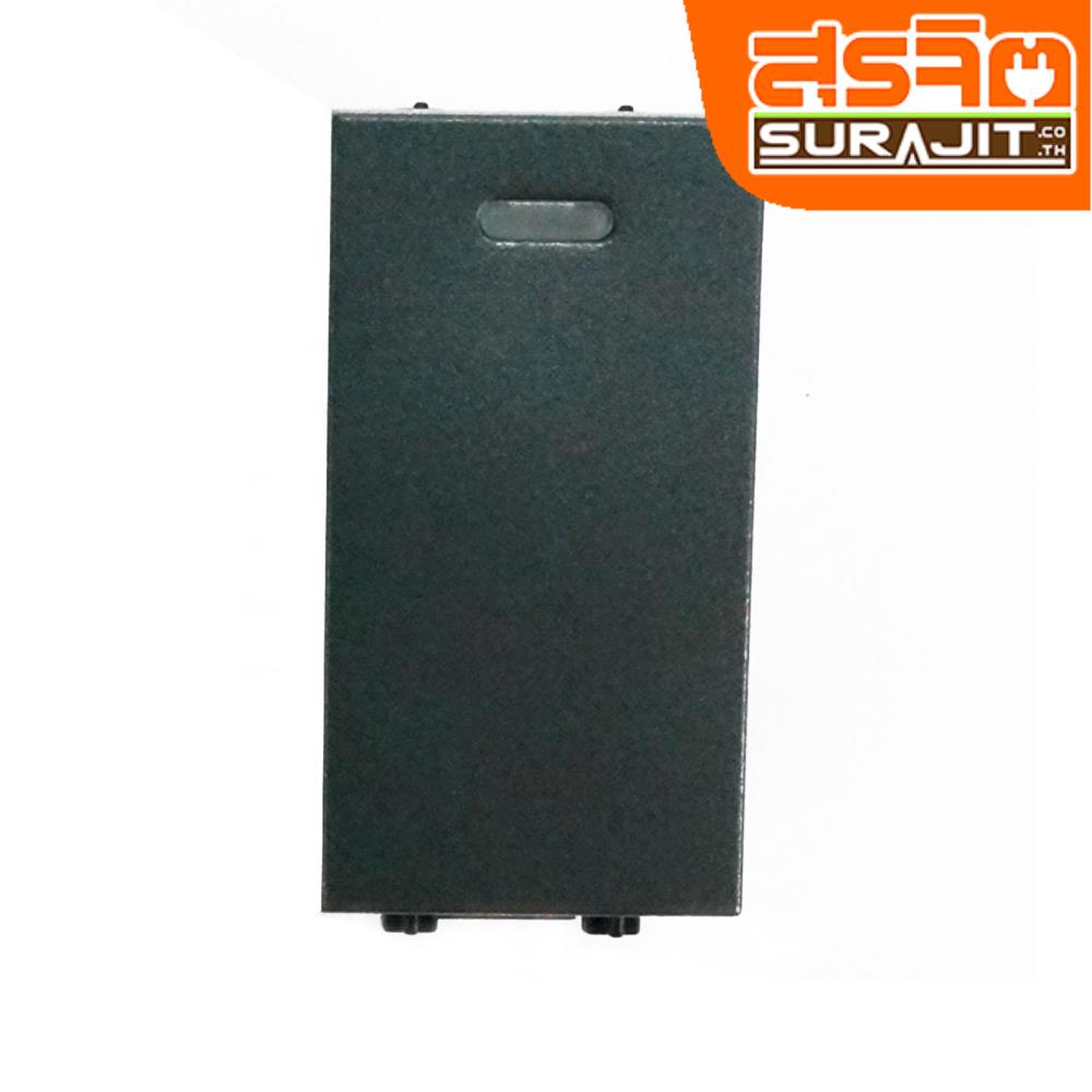 CHANG สวิตช์ทางเดียว 16A 250V ปิดมีไฟ