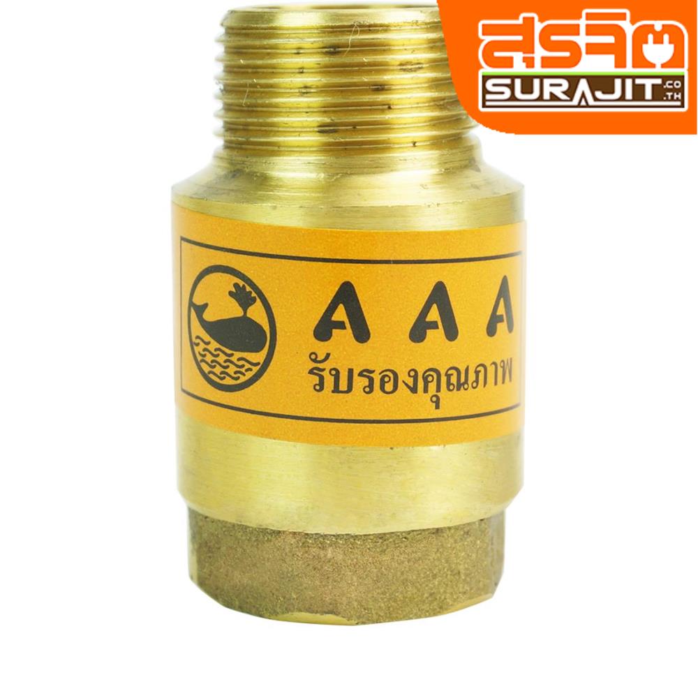 AAA เช็ควาล์วสปริงทองเหลือง-2