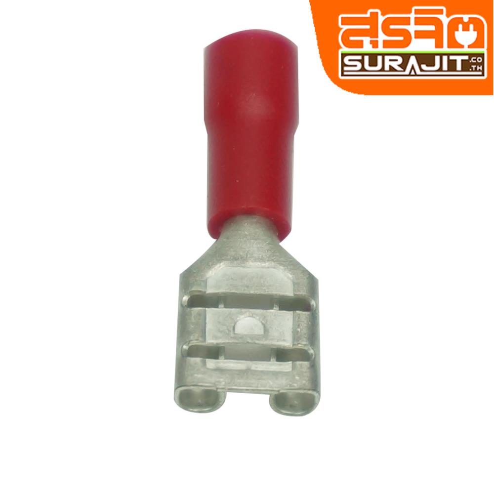 หางปลาแบนตัวเมีย-5110B
