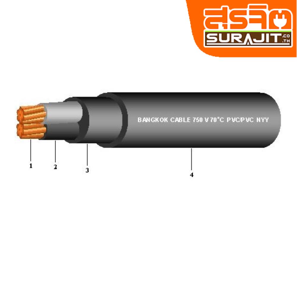 BCC NYY-2-025