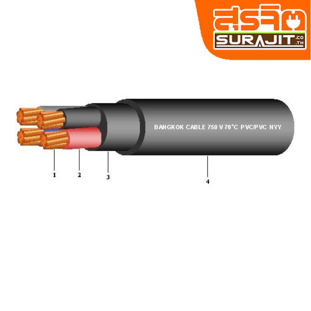 BCC NYY-4-025