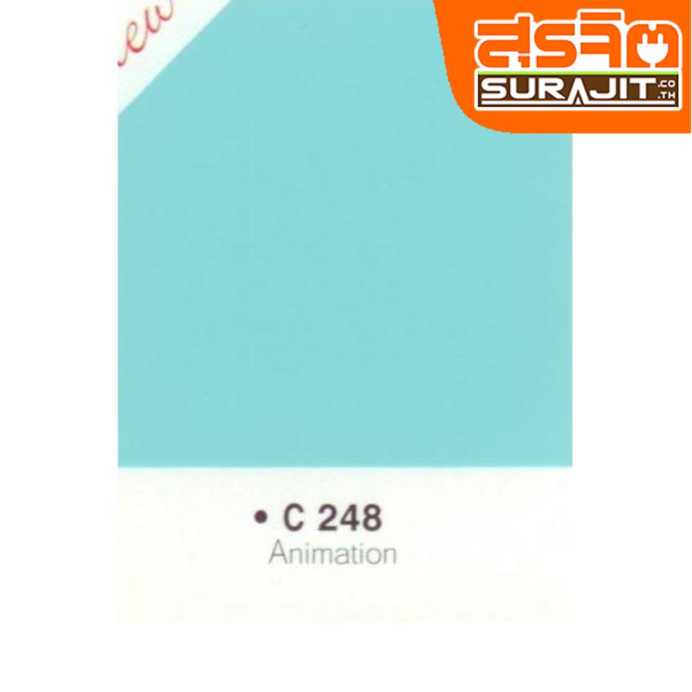 CAPTAIN สีภายนอก#248