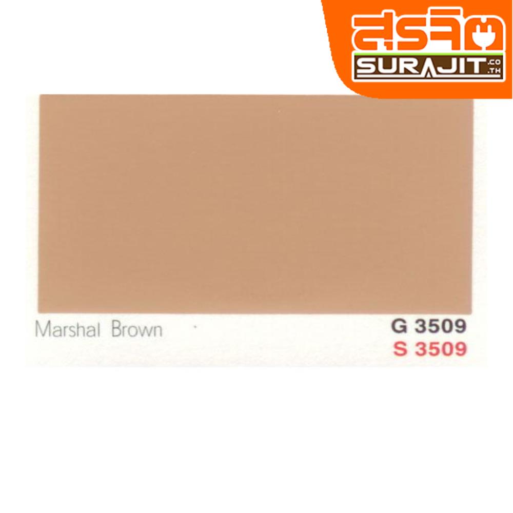 CAPTAIN สีพาราชิลด์#3509 Marshal Brown