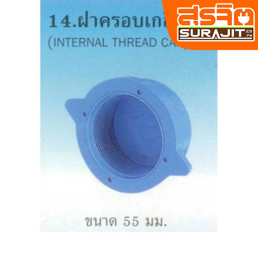 TPI ฝาครอบเกลียวในฟ้า 2'' [AD08H5]