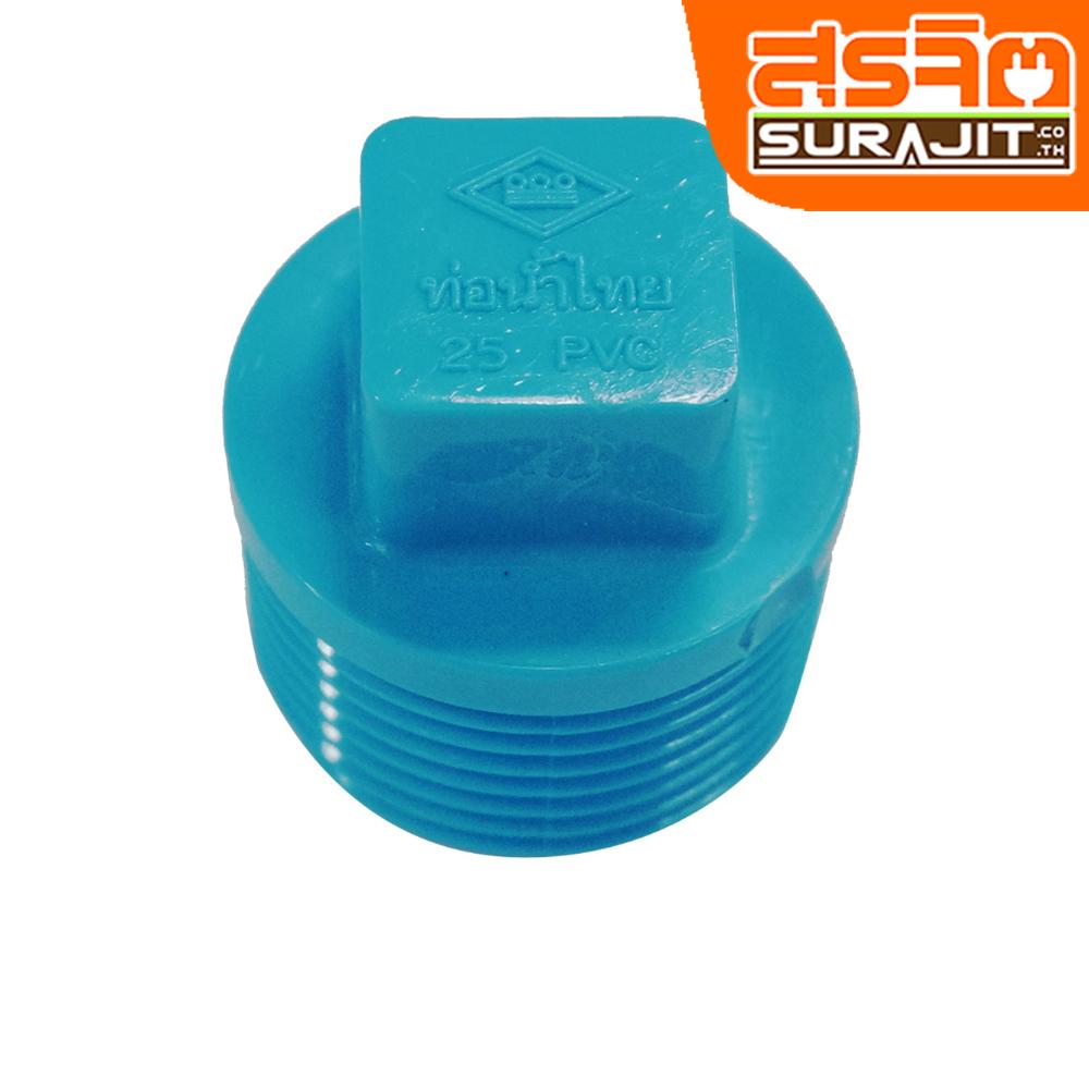 TPI ปลั๊กอุดเกลียวนอกฟ้า 1'' [AE05H5]