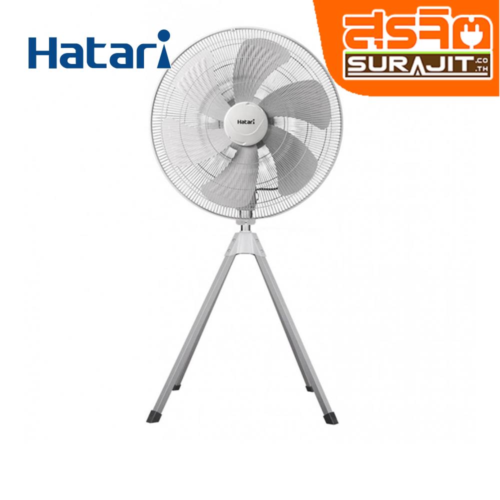 HATARI IQ25M1 GY