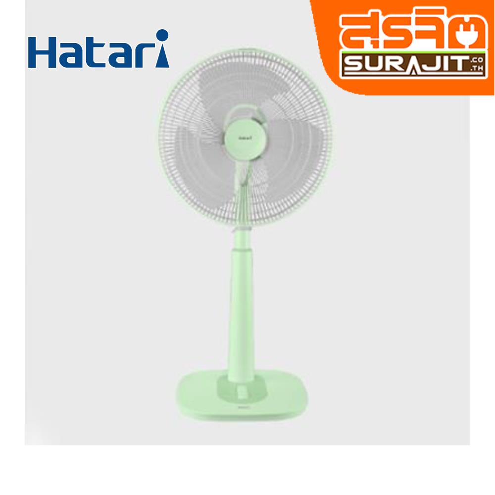 HATARI S16M1 GR