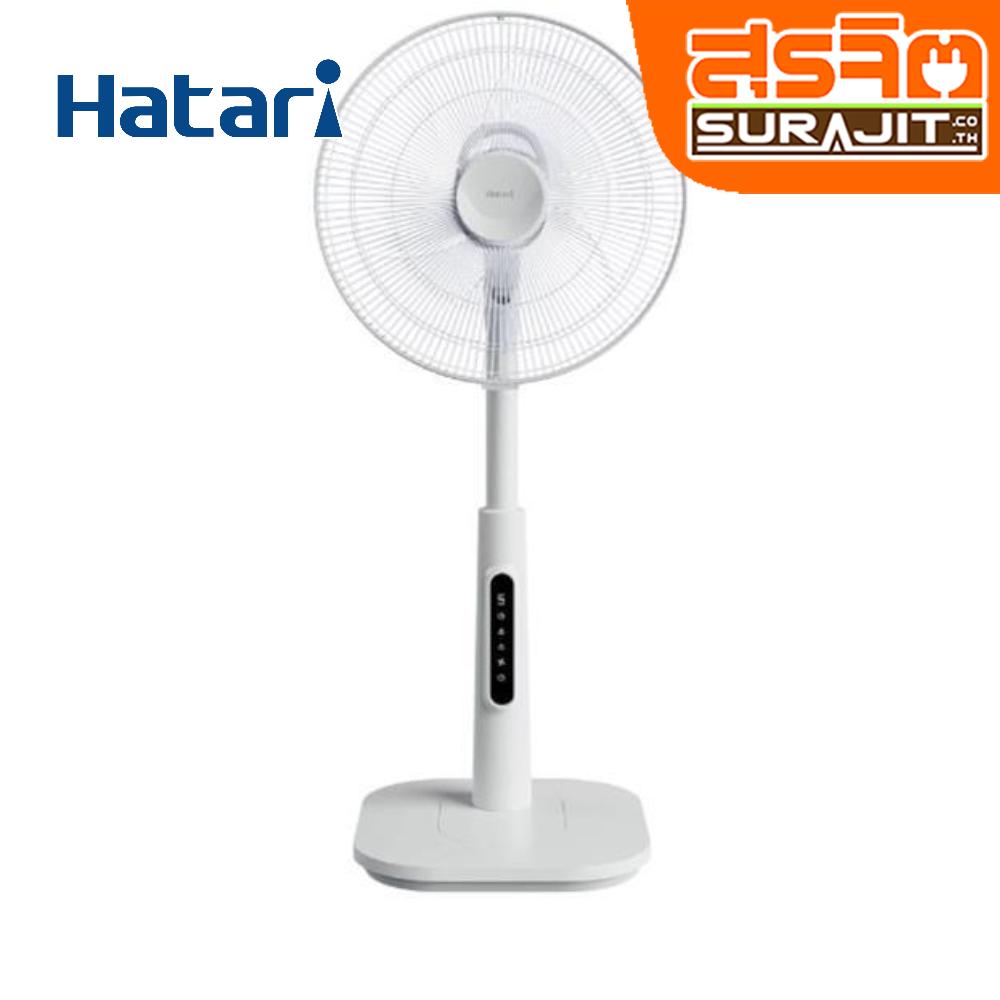 HATARI S16R1 GY