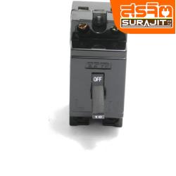 TP79 เบรกเกอร์-TP-2P15A