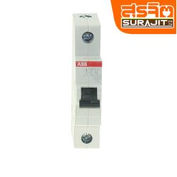 ABB เบรกเกอร์ลูก-ABB-1P16A