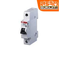 ABB เบรกเกอร์ลูก-ABB-1P10A
