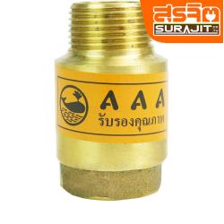 AAA เช็ควาล์วสปริงทองเหลือง-2