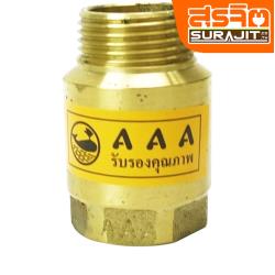 นามทอง เช็ควาล์วสปริงทองเหลือ-1
