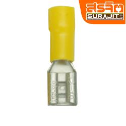 หางปลาแบนตัวเมีย-5150B