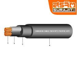 BCC NYY-2-025