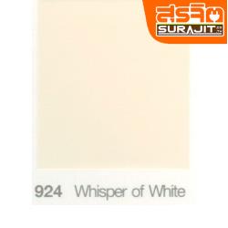 CAPTAIN สีออลอินวัน#924 Whisper of White
