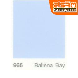 CAPTAIN สีออลอินวัน#965 Ballena Bay