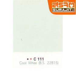 CAPTAIN สีภายนอก#111 Cool White