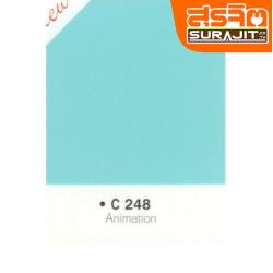 CAPTAIN สีภายนอก#248