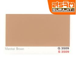 CAPTAIN สีพาราชิลด์#3509 Marshal Brown