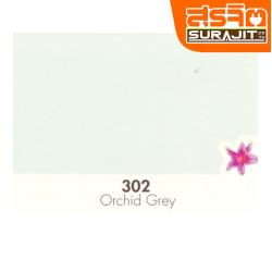 CAPTAIN สีภายนอกแสตนดาร์ด#302