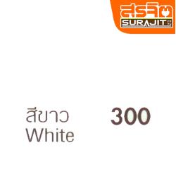 CAPTAIN สีภายในแสตนดาร์ด#300