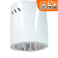 DC ELECTRIC คมดาวไลท์กระป๋องกลม 4" สีขาว
