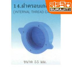 TPI ฝาครอบเกลียวในฟ้า 2'' [AD08H5]