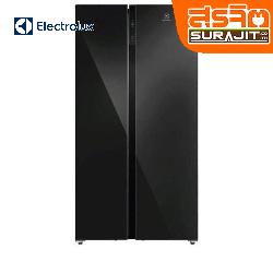 ELECTROLUX ESE6205B-B