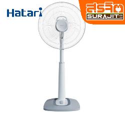 HATARI S16C1 GY