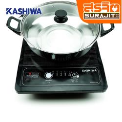 KASHIWA WP-2100