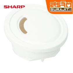 SHARP 21N209WHASY