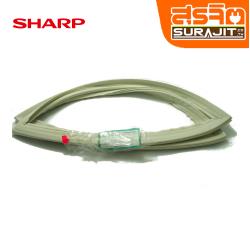 SHA!FPACGA651CBZA