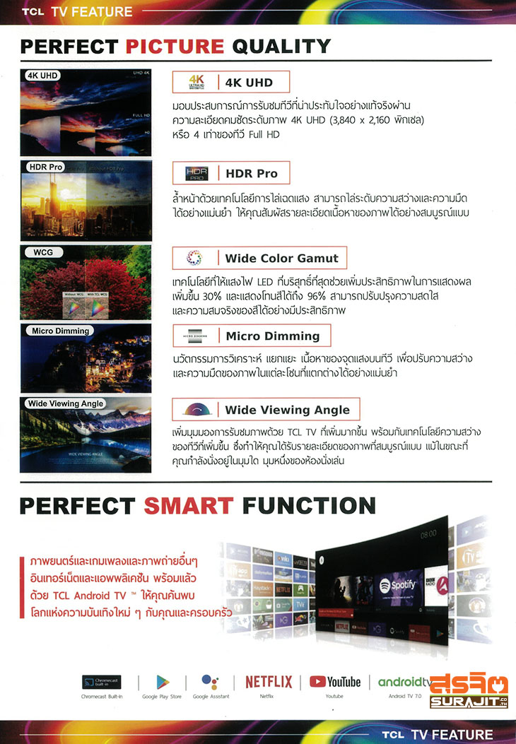 TCL-C6-2
